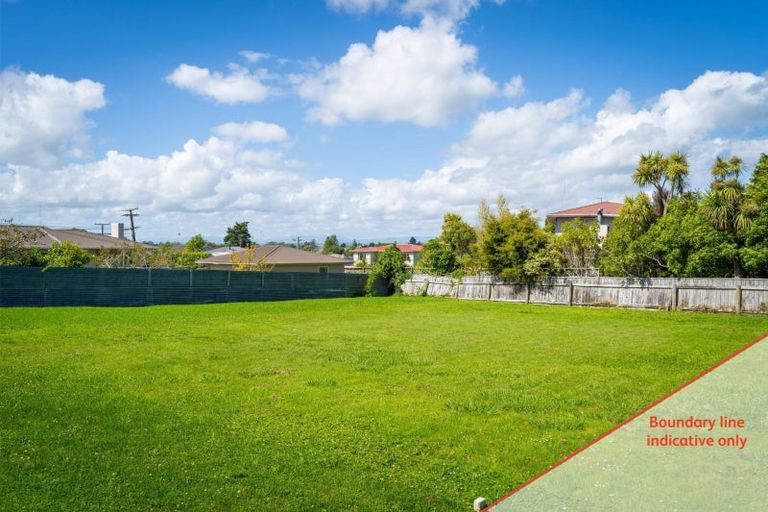 Photo of property in 33a Haggitt Street, Feilding, 4702