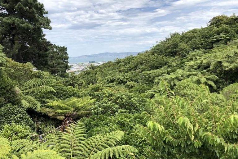 Photo of property in 12 Jacaranda Grove, Maungaraki, Lower Hutt, 5010