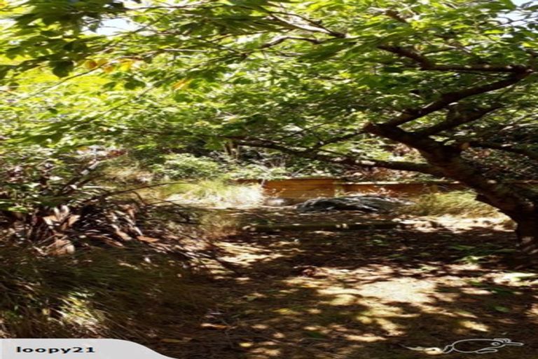 Photo of property in 29 Wilson Street, Seaview, Timaru, 7910