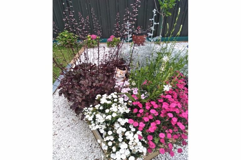 Photo of property in 56/64 Kawaha Point Road, Kawaha Point, Rotorua, 3010