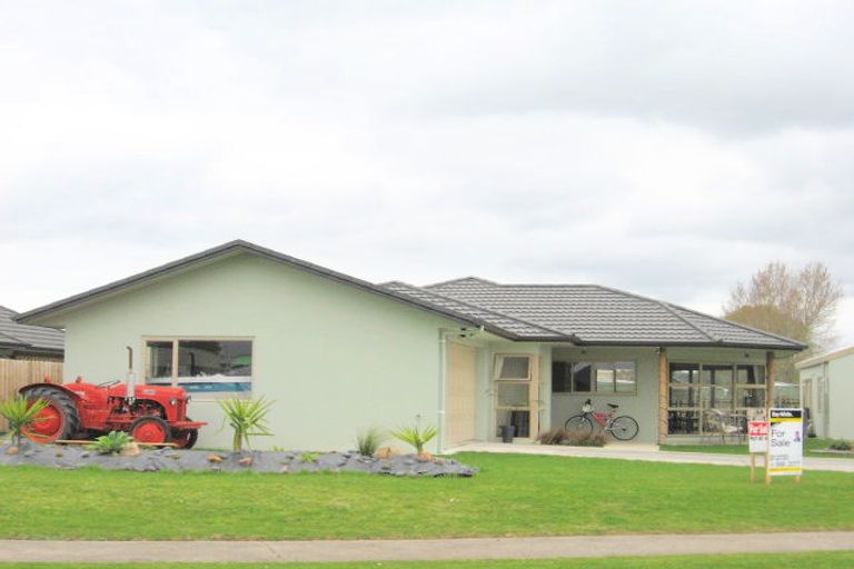Photo of property in 44 Springbok Avenue, Whitianga, 3510