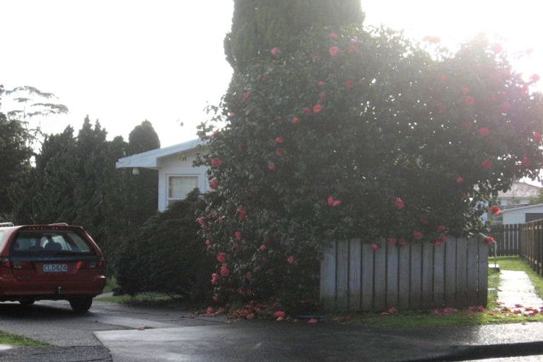 Photo of property in 21 Crawford Crescent, Te Kamo, Whangarei, 0112