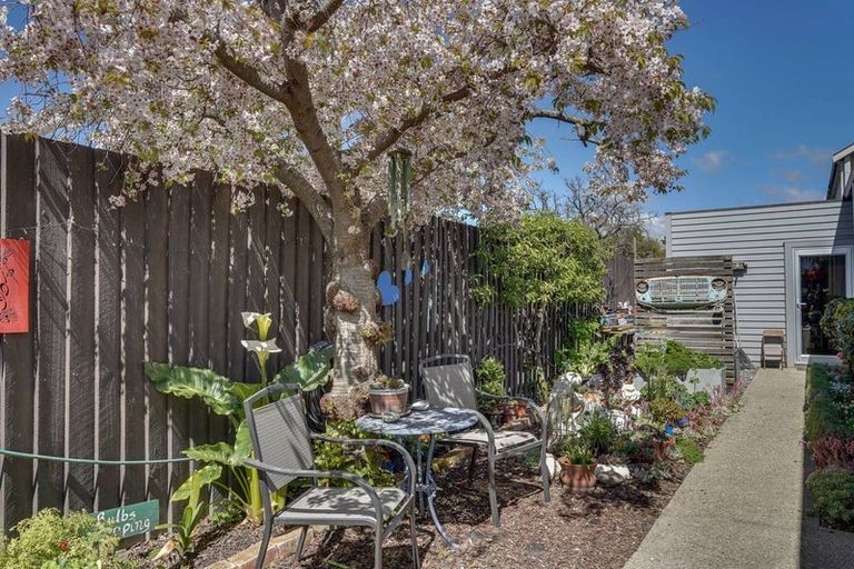 Photo of property in 6c Adams Lane, Springlands, Blenheim, 7201