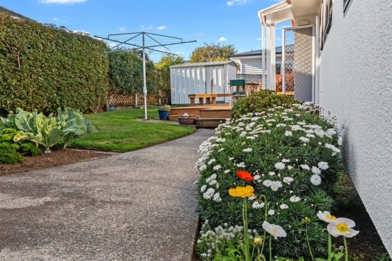 Photo of property in 51a Paine Street, Judea, Tauranga, 3110