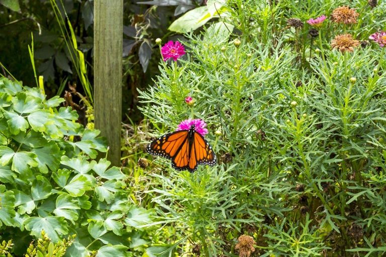 Photo of property in 4c Guiness Street, Avalon, Lower Hutt, 5011