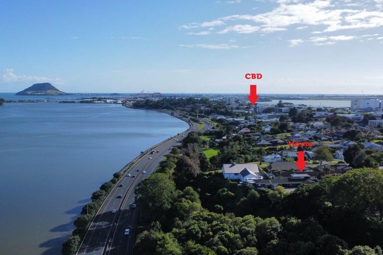 Photo of property in 99b Eighth Avenue, Tauranga, 3110