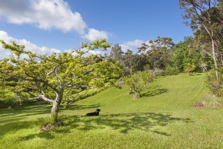 Photo of property in 99 Upper Whangateau Road, Big Omaha, Warkworth, 0985