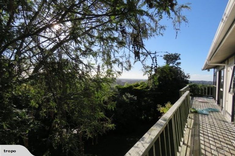 Photo of property in 115 Riwai Street, Paraparaumu, 5032