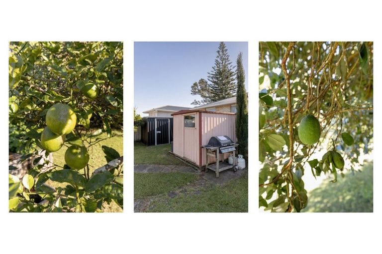 Photo of property in 36a Crane Street, Mount Maunganui, 3116