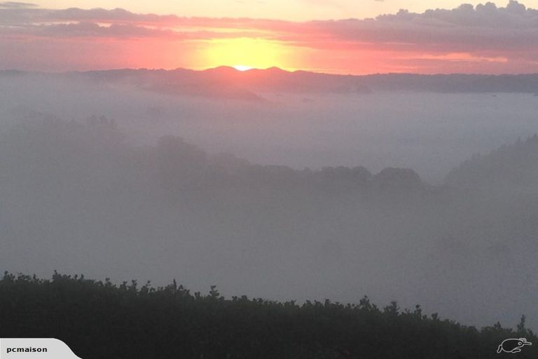 Photo of property in 314 Vinegar Hill Road, Kauri, Kamo, 0185