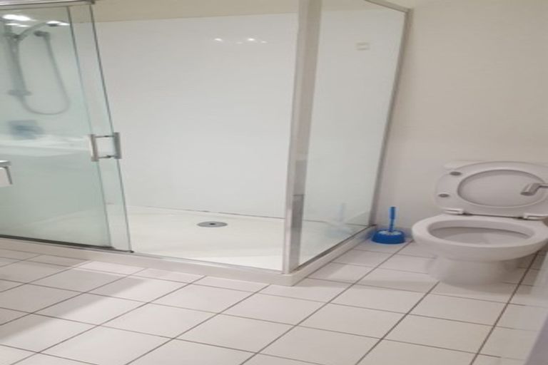 Photo of property in Luna Apartments, 1c/16 Burton Street, Grafton, Auckland, 1010