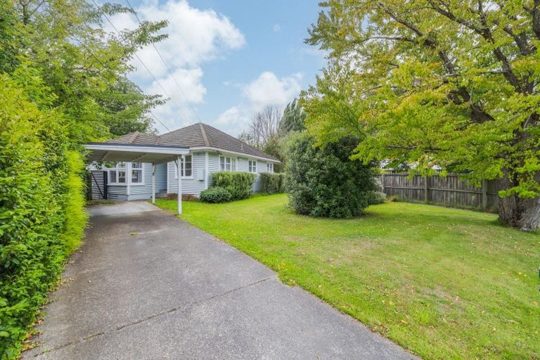 Photo of property in 38 Hollyford Avenue, Bryndwr, Christchurch, 8053