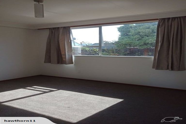 Photo of property in 20d Oxford Street, South Dunedin, Dunedin, 9012