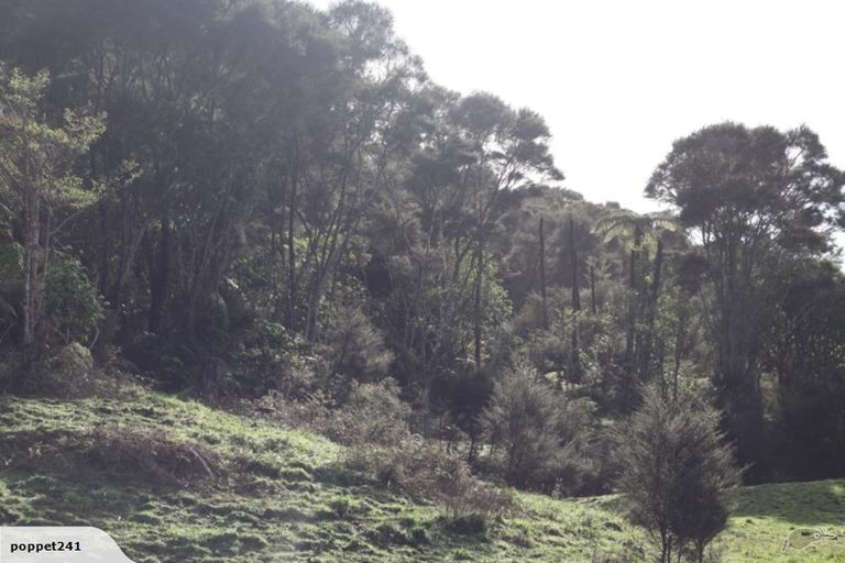 Photo of property in 31 Raglan Road, Kawhia, 3878