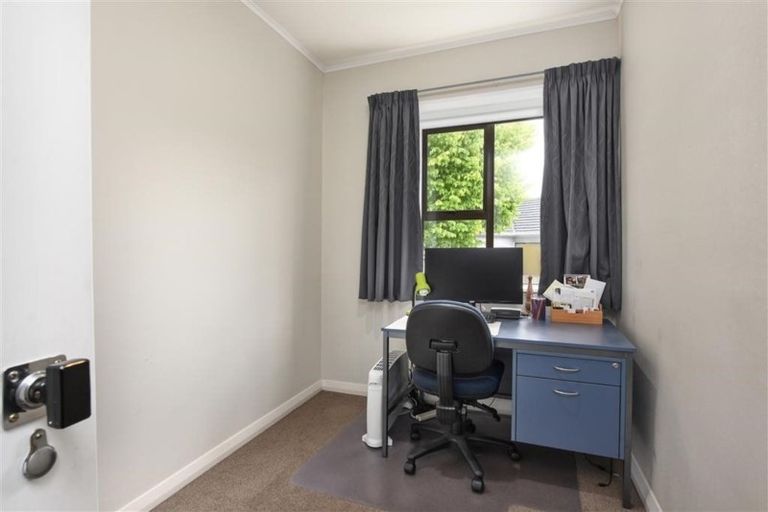 Photo of property in 41 Mayfield Avenue, Wakari, Dunedin, 9010
