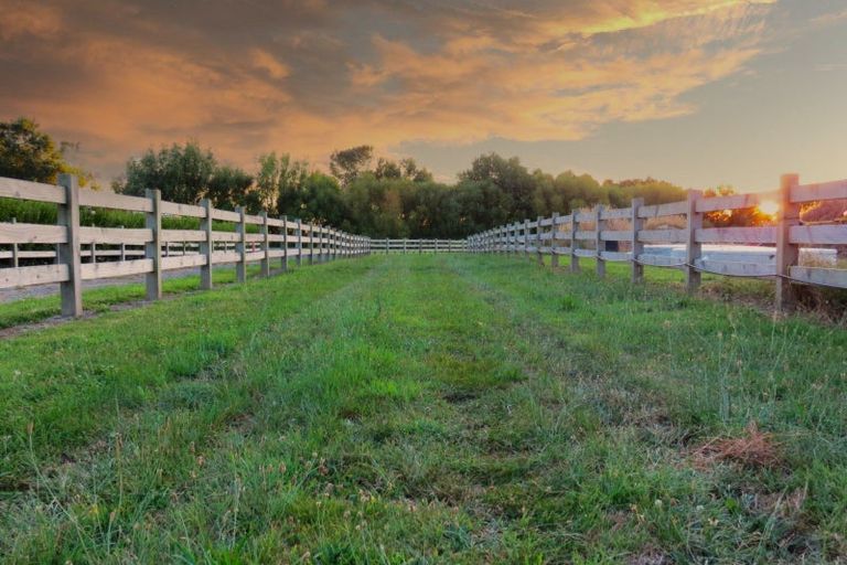 Photo of property in 88 Mahua Road, Feilding, 4777