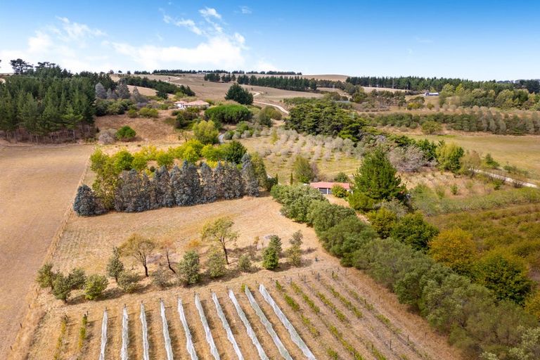 Photo of property in 105 Te Maire Road, Kahutara, Featherston, 5771