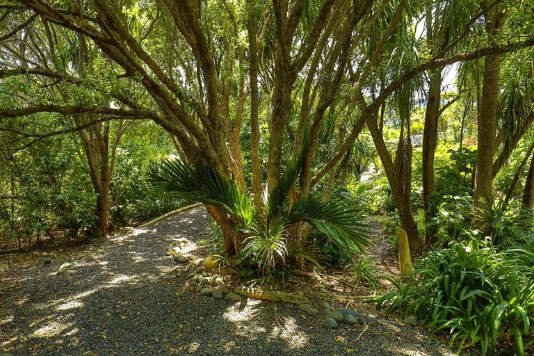 Photo of property in 43 Waitea Road, Muriwai, Waimauku, 0881