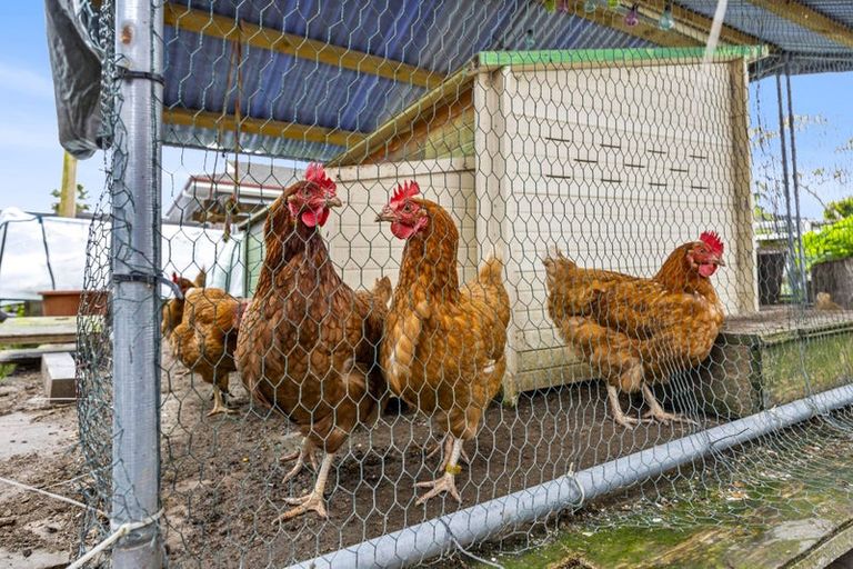 Photo of property in 2/39 Blacklock Avenue, Henderson, Auckland, 0612