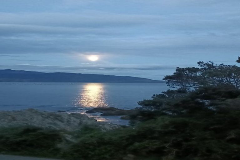 Photo of property in 156 The Esplanade, Houghton Bay, Wellington, 6023