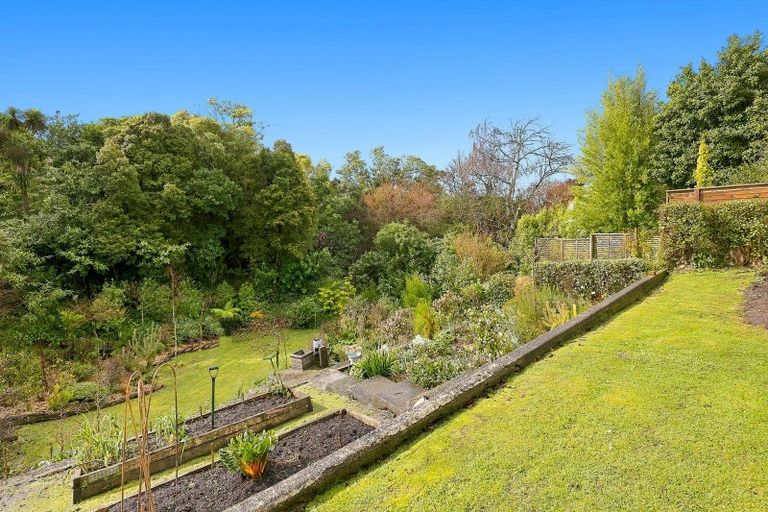 Photo of property in 53 Pacific Street, Roslyn, Dunedin, 9010