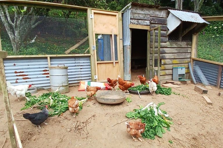 Photo of property in 821 Tariki Road, Ratapiko, Inglewood, 4390