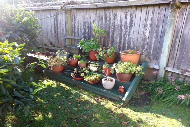 Photo of property in 29 Langdale Avenue, Paraparaumu, 5032