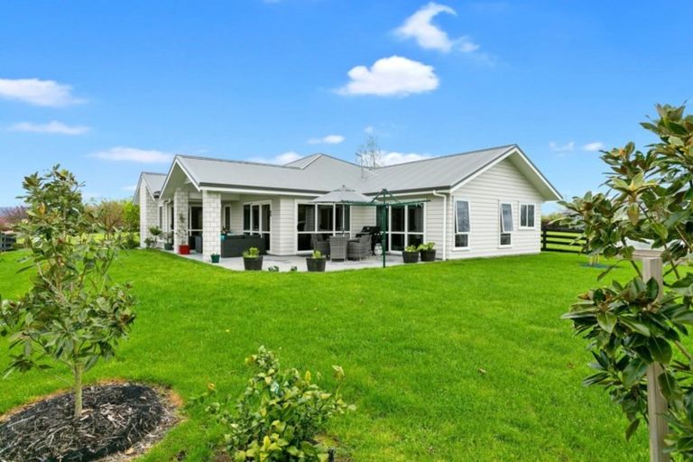 Photo of property in 8 Oakfield Close, Matamata, 3400