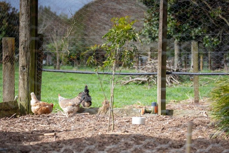 Photo of property in 67d Davison Road, Newstead, Hamilton, 3286