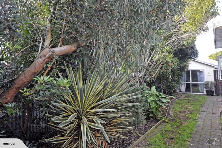 Photo of property in 16 Northcote Road, Te Hapara, Gisborne, 4010