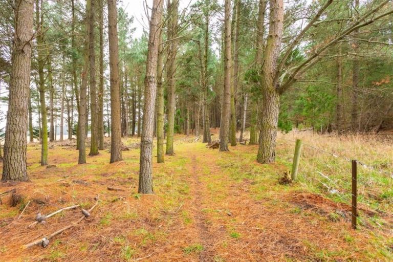 Photo of property in 800 Old West Coast Road, West Melton, Christchurch, 7671