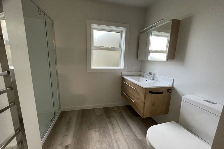 Photo of property in 66 Lonsdale Street, Belleknowes, Dunedin, 9011