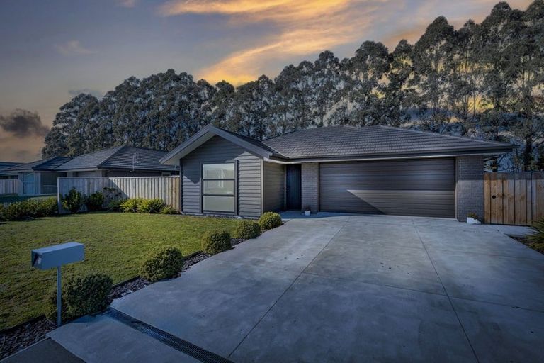 Photo of property in 22 Cooney Avenue, Darfield, 7571