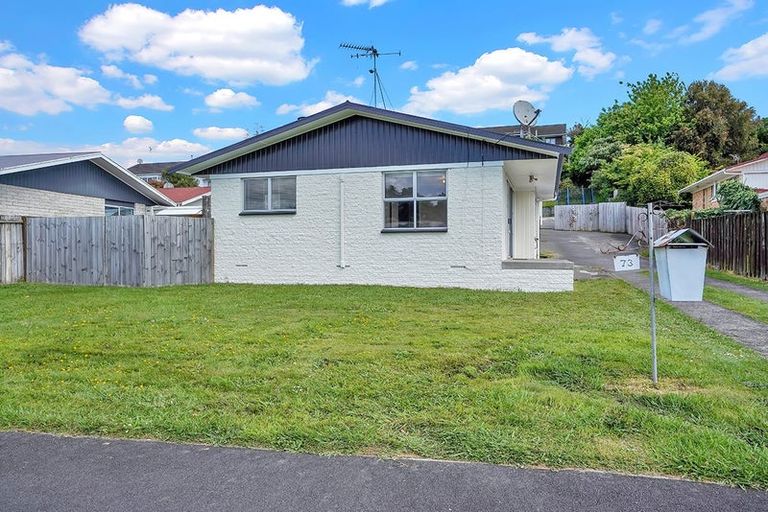 Photo of property in 73 Bremworth Avenue, Dinsdale, Hamilton, 3204