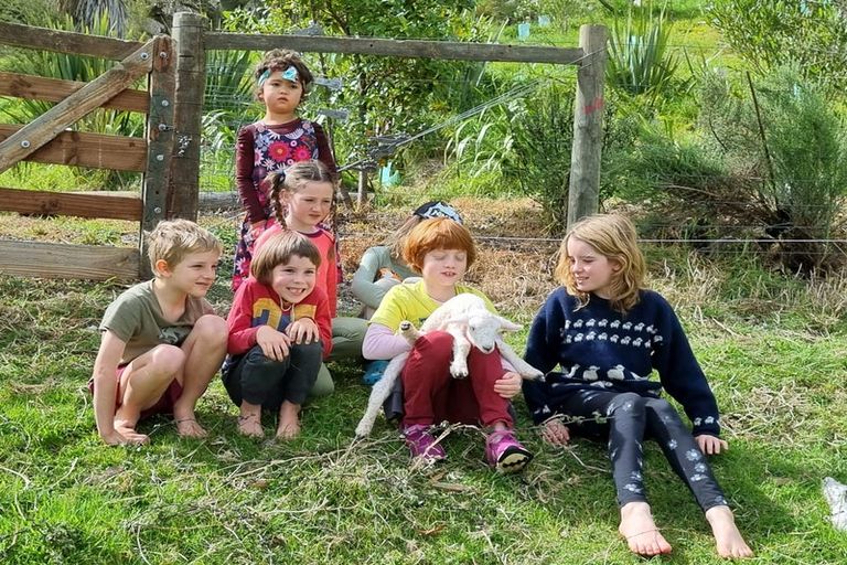 Photo of property in 3b Braemar Place, Nelson South, Nelson, 7010