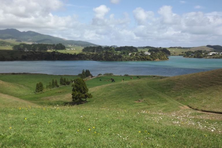 Photo of property in 245 Hills Road, Raglan, 3295