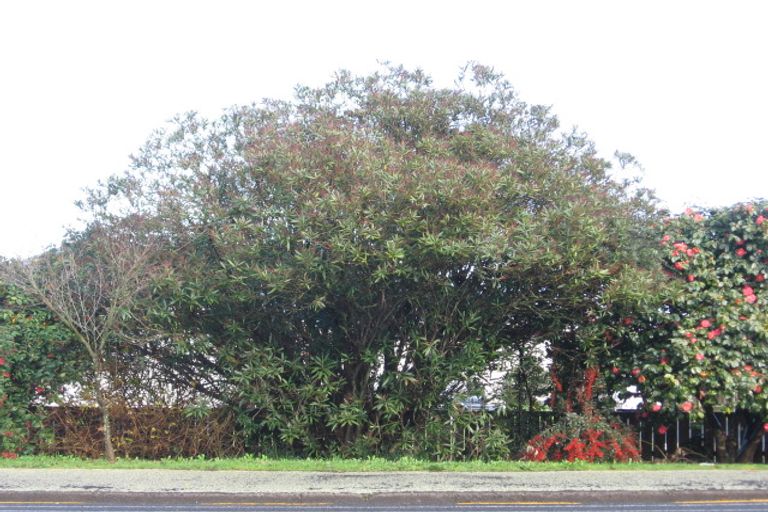 Photo of property in 345 Peachgrove Road, Fairfield, Hamilton, 3214