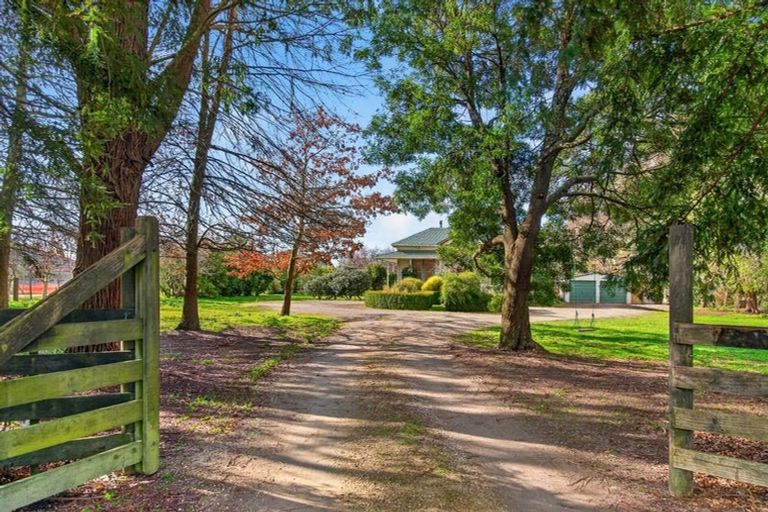 Photo of property in 41 Millard Avenue, Kuripuni, Masterton, 5810