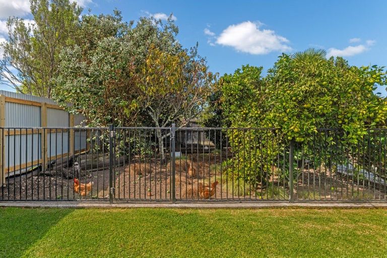 Photo of property in 11 Oak Street, Mangapapa, Gisborne, 4010