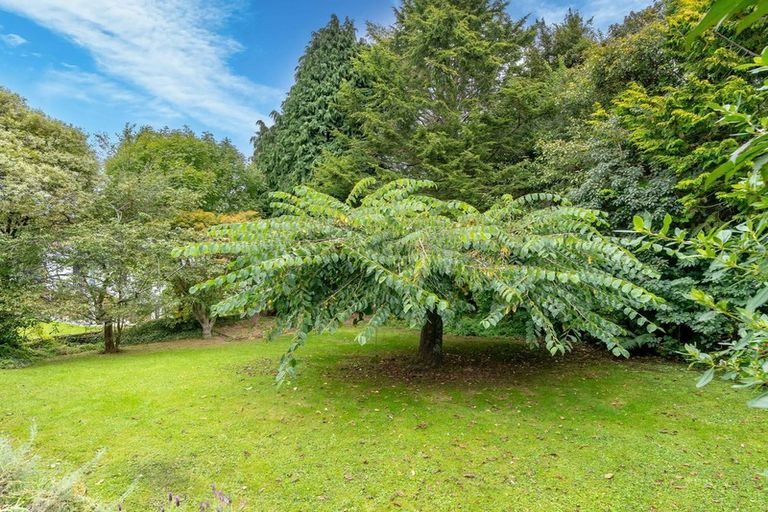 Photo of property in 11 Manchester Street, Bradford, Dunedin, 9011