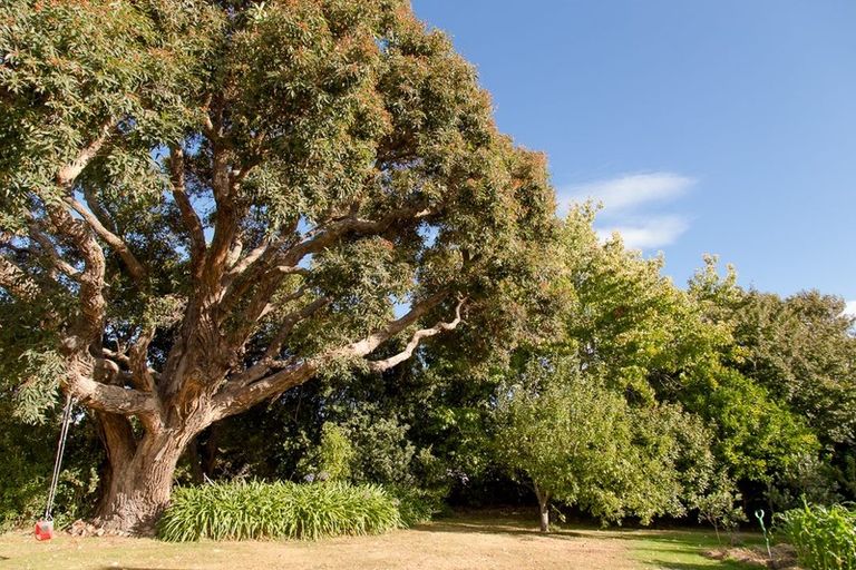 Photo of property in 132 Old Renwick Road, Springlands, Blenheim, 7272