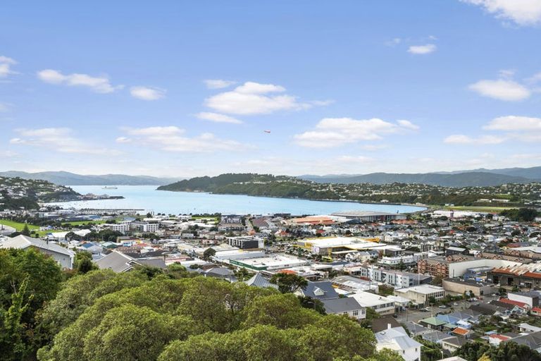 Photo of property in 42 Lerwick Terrace, Melrose, Wellington, 6023