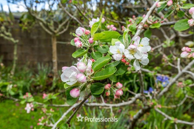 Photo of property in 14 Prouse Grove, Silverstream, Upper Hutt, 5019