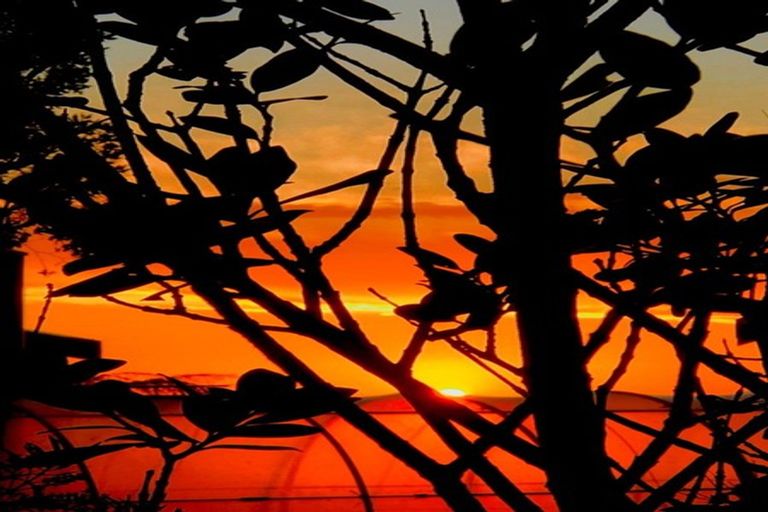 Photo of property in 46 Arnott Heights, Greymouth, 7805