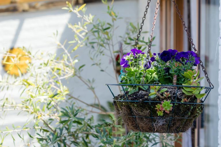 Photo of property in 4/1 Akehurst Avenue, New Lynn, Auckland, 0600