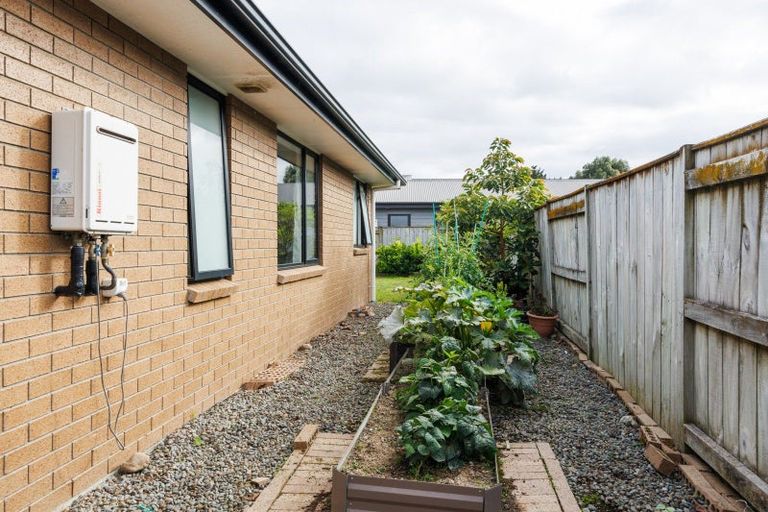 Photo of property in 304 Cambridge Avenue, Ashhurst, 4810