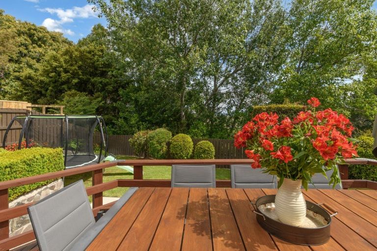 Photo of property in 99 Townhead Crescent, Bethlehem, Tauranga, 3110