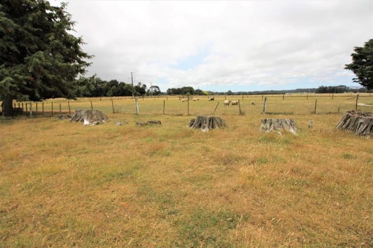 Photo of property in 921 Top Grass Road, Dannevirke, 4972