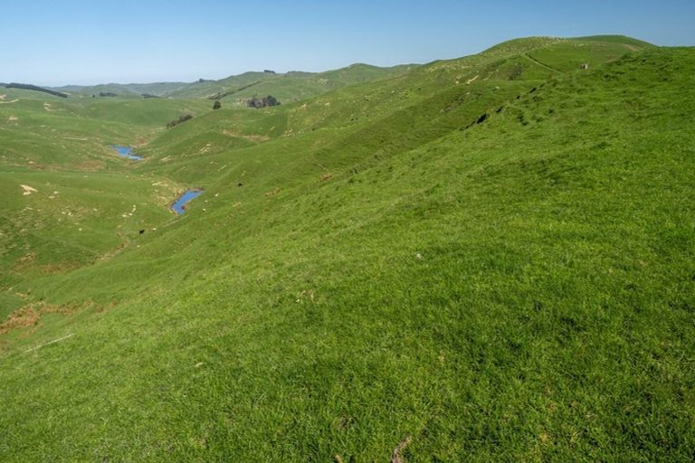 Photo of property in 425 Daggs Road, Bideford, Masterton, 5882