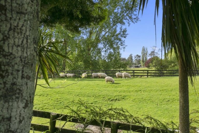 Photo of property in 156 Rosebanks Drive, Tamahere, Hamilton, 3283